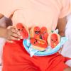 imageEmotional Support Dumplings by Relatable Cuddly Stuffed Animals and Toys Squishy Toys and Plushies Great Gift Ideas for Loved Ones of All Ages Includes 5 Plushies with Carrying BasketHot Dogs