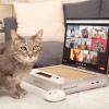 imageScratchPad Pro  Cardboard Laptop Cat Scratcher Interactive Cat Toys for Indoor Cats Kitten Supplies and Cat Stuff by RelatableScratchpad Pro