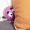 imageSilly Poopys Hide ampamp Seek by Relatable The Talking Singing Rainbow Hide ampamp Seek Toy Fun Learning Toys for Toddlers Interactive Toddler Toys Hide and Seek Games Includes 1 Toy ampamp 2 AA BatteriesEggcellent
