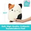 imageSquishmallows Wendy The Frog by Relatable Microwavable Heating Pad for Period Cramps Cuddly Plushies Great Gift Ideas for Loved Ones of All Ages Includes 1 Lavender Scented Heating Pad PlushyCam