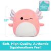 imageSquishmallows Wendy The Frog by Relatable Microwavable Heating Pad for Period Cramps Cuddly Plushies Great Gift Ideas for Loved Ones of All Ages Includes 1 Lavender Scented Heating Pad PlushyArchie