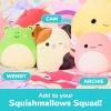 imageSquishmallows Wendy The Frog by Relatable Microwavable Heating Pad for Period Cramps Cuddly Plushies Great Gift Ideas for Loved Ones of All Ages Includes 1 Lavender Scented Heating Pad PlushyArchie