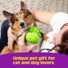 imageWHAT DO YOU MEME Paws ampamp Relax The Adorable TurtleShaped Pet Massager for Dogs ampamp Cats