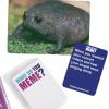 imageWHAT DO YOU MEME The Ultimate Expansion Pack Bundle  Adult Card Games for Game Night